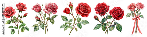 PNG Vintage roses with elegant details, element set on transparent background