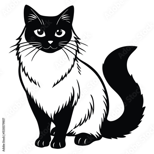 birman vector