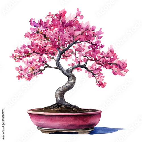 A Redbud Bonsai, watercolor painting vector, isolated on a white background.