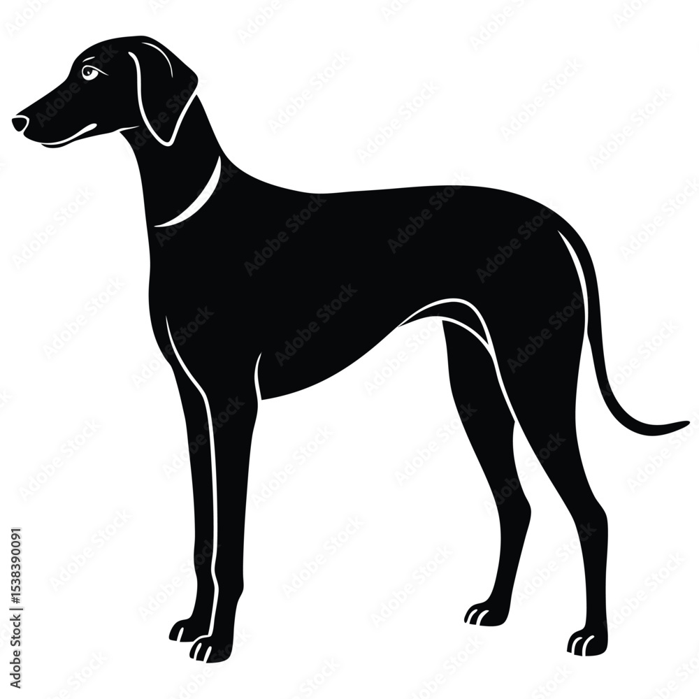Obraz premium hound dog vector sihouette