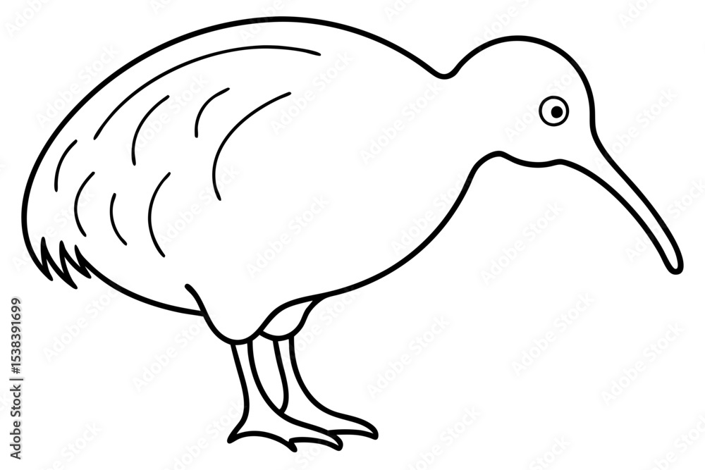 Simple Kiwi Line Drawing Simple Kiwi Line Drawing