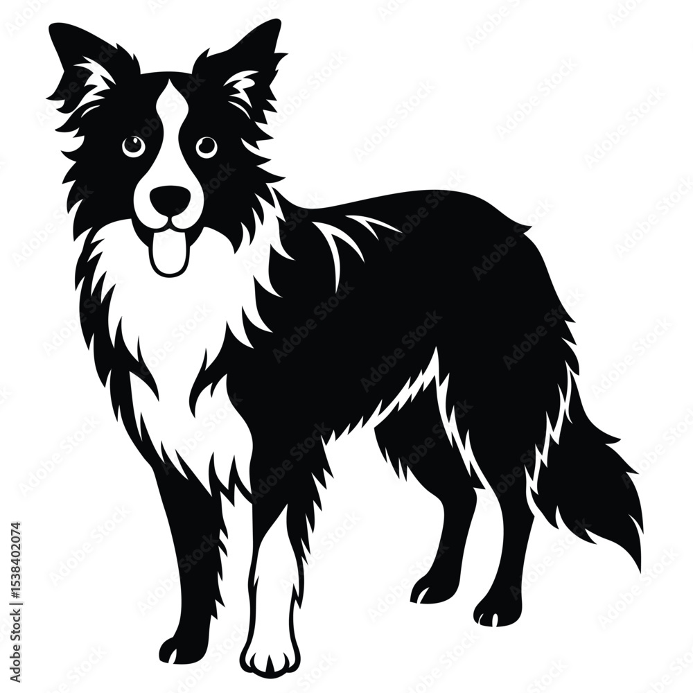 Fototapeta premium collie dog vector