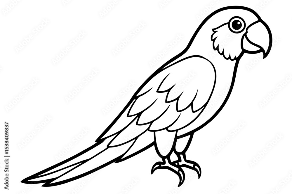 Obraz premium Simple Macaw Line Art