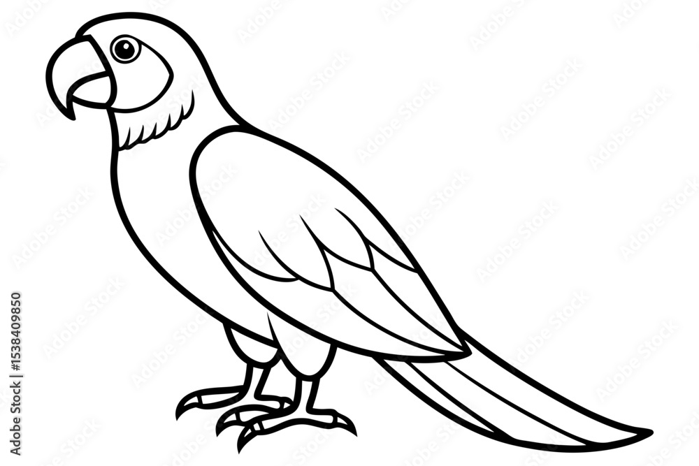 Simple Macaw Line Art Simple Macaw Line Art