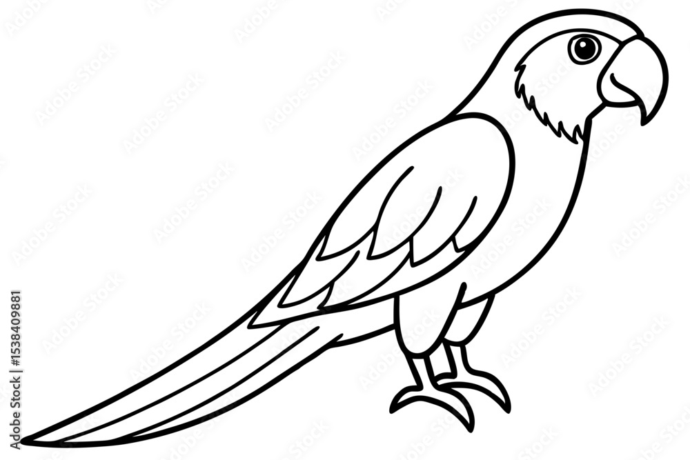 Fototapeta premium Simple Macaw Line Art