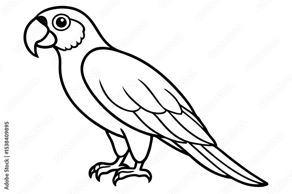 Fototapeta premium Simple Macaw Line Art