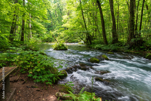 A tranquil wooden picnic table offers a resting spot beside the pristine Oirase Stream, deep within the lush summer forest of the famous Oirase Gorge. Aomori, Japan
