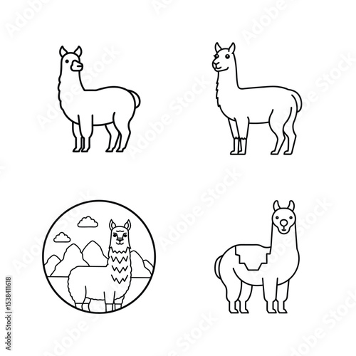Set of four cute and friendly llama illustrations in black and white outline style