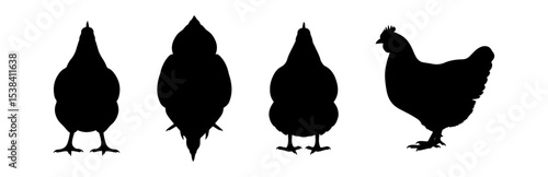 Silhouette Chicken Vector Illustration Featuring Front, Back, Side, and Top Views
