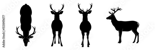 Silhouette Deer Vector Illustration Featuring Front, Back, Side, and Top Views