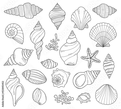 Wallpaper Mural Outline Shell set. Isolated underwater sea conch, star and corals. linear hand drawing doodle on white background. Vector illustration Torontodigital.ca