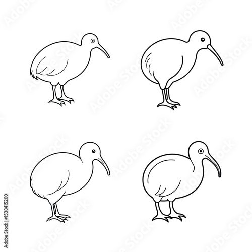Set of four detailed black and white outline illustrations of the kiwi bird