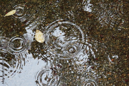 雨の音