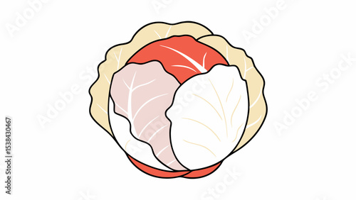 Stylized Napa Cabbage Illustration