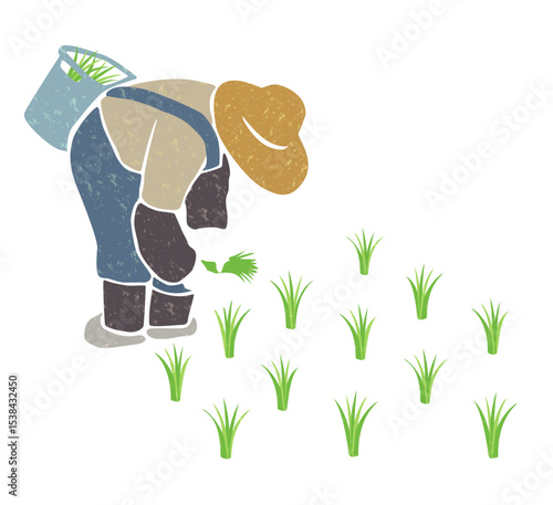 田植えをする農家