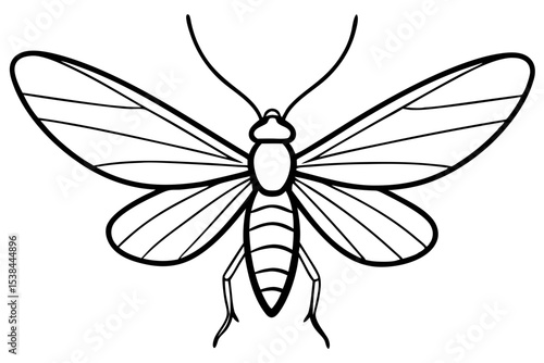 Simple Mayfly Line Drawing