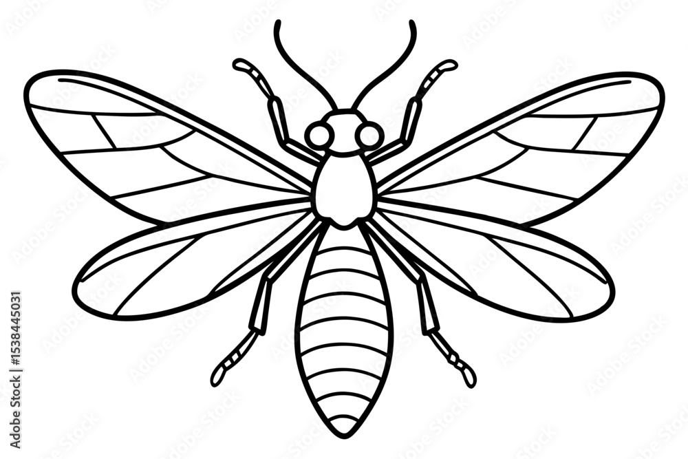 Simple Mayfly Line Drawing Simple Mayfly Line Drawing