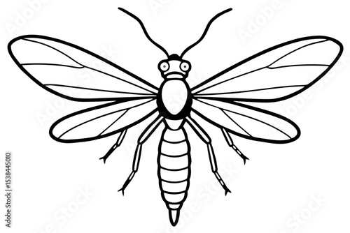 Simple Mayfly Line Drawing