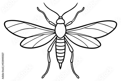 Simple Mayfly Line Drawing
