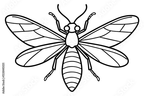 Simple Mayfly Line Drawing