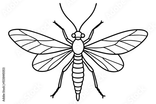 Simple Mayfly Line Drawing