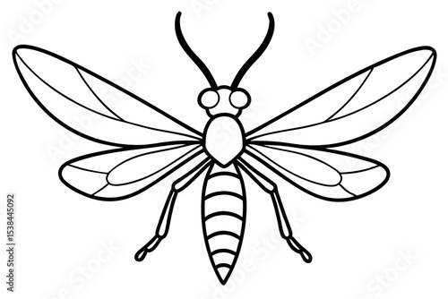 Simple Mayfly Line Drawing