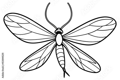 Simple Mayfly Line Drawing