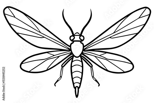 Simple Mayfly Line Drawing