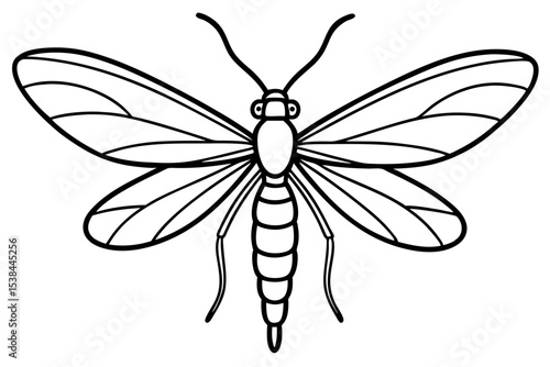 Simple Mayfly Line Drawing