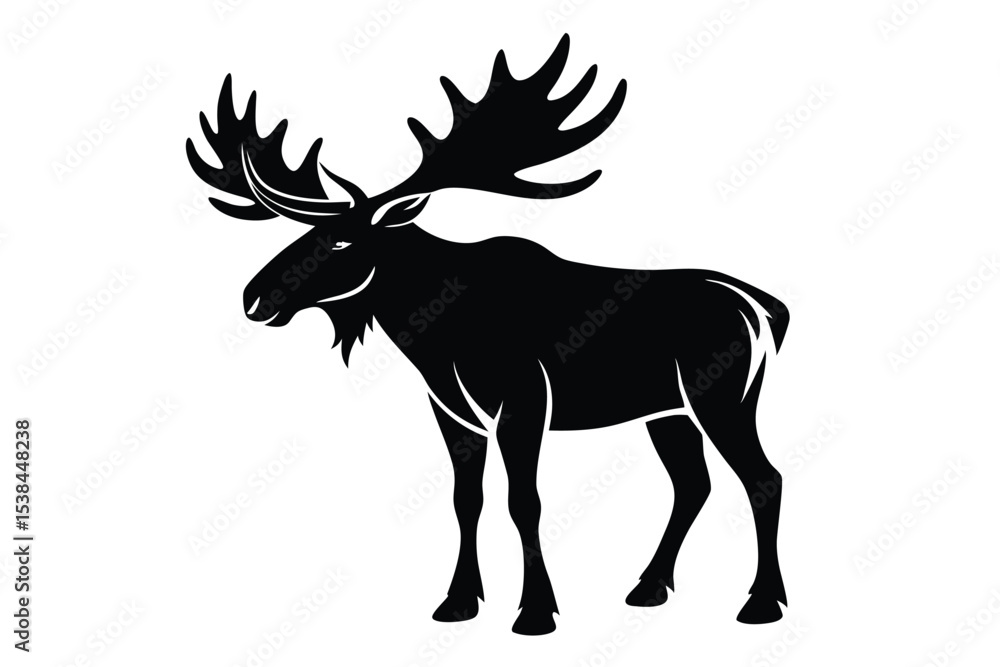Fototapeta premium Majestic silhouette shows a large moose standing proudly, its impressive antlers prominently displayed