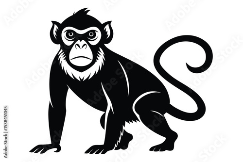 Black monkey is crouching and gazing straight ahead with a white background
