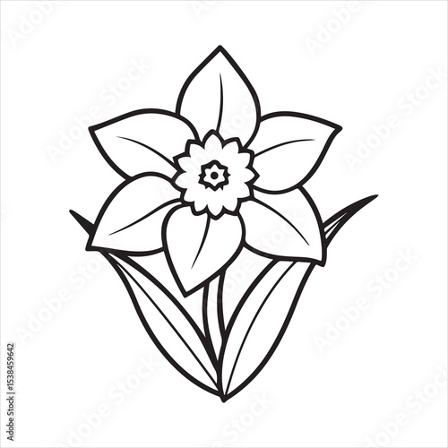 daffodil flower vector illustration