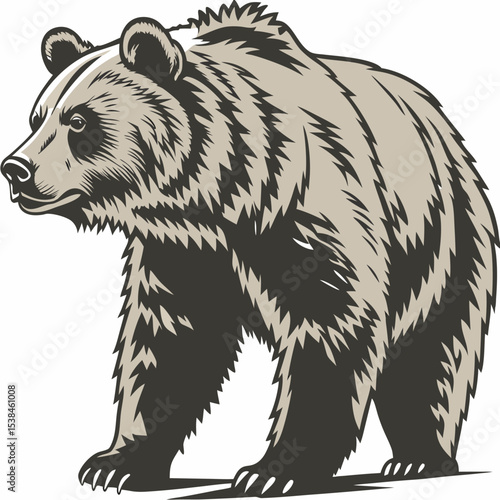 Brown bear vector illustration silhouette of a wild grizzly