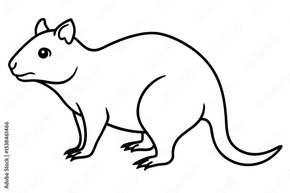 Simple Quokka Line Art Simple Quokka Line Art