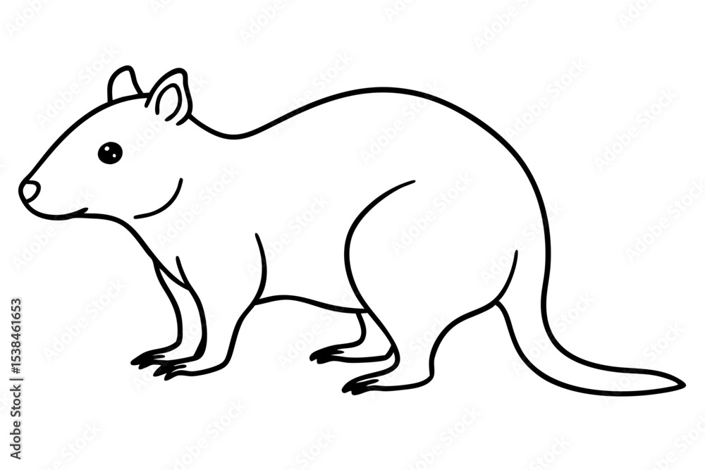 Obraz premium Simple Quokka Line Art