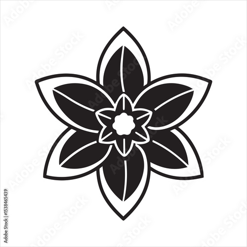 daffodil flower vector illustration