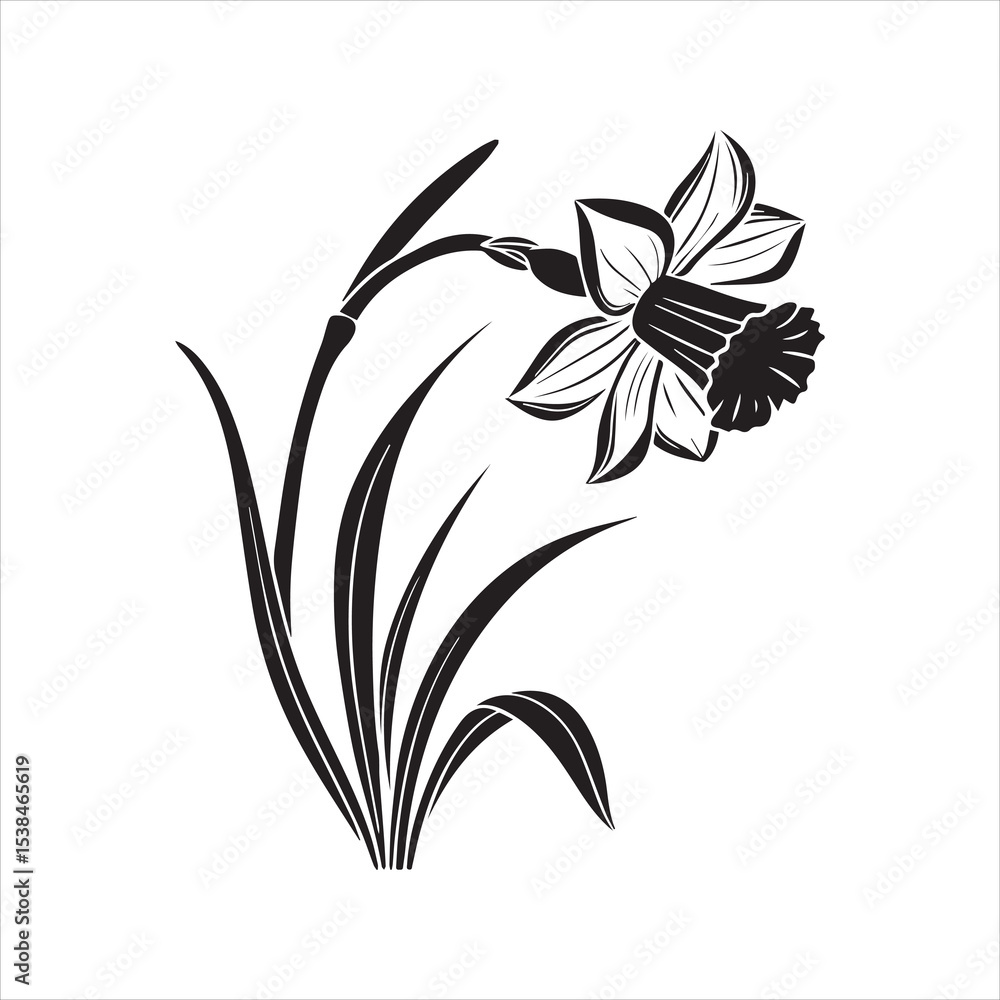 Fototapeta premium daffodil flower vector illustration