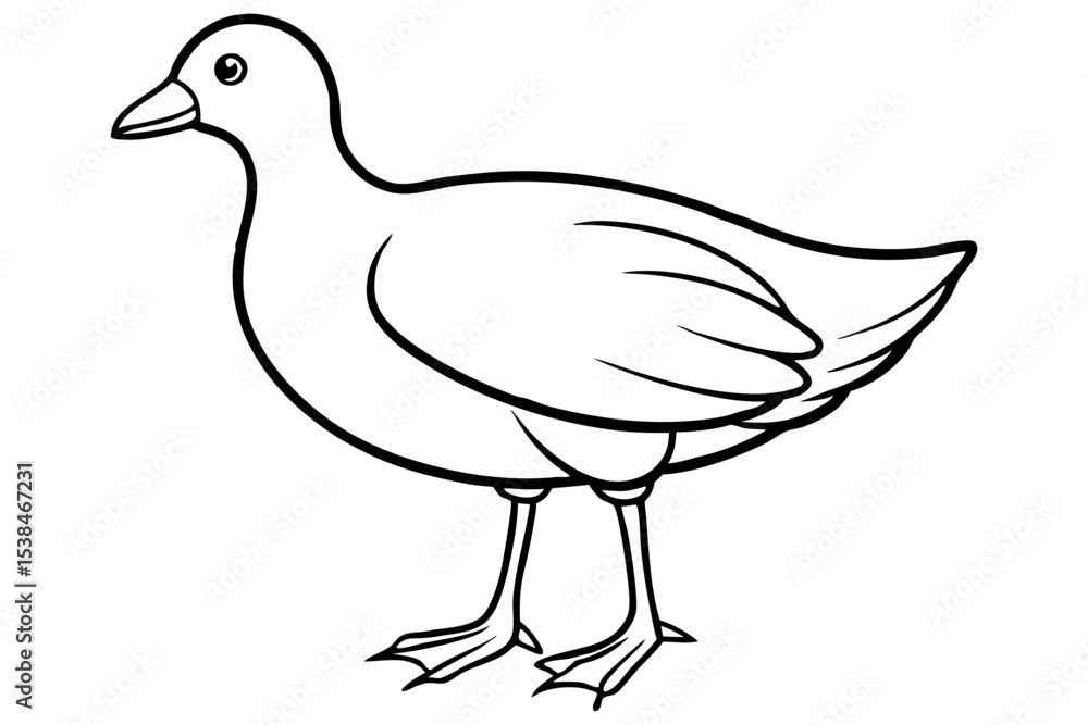 Fototapeta premium Stylized Moorhen Vector Art