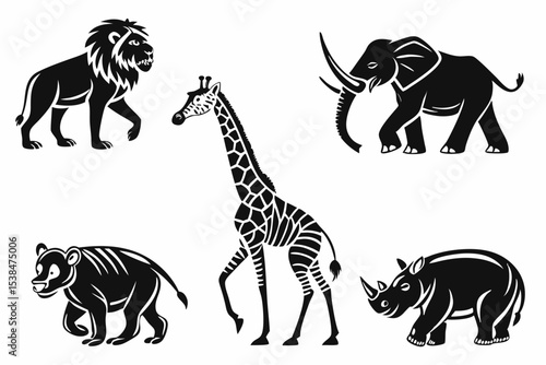 zebra