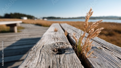 Weathered boardwalk photo in warm golden tones leading to water