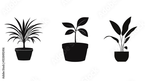 Silhouette of a small indoor potted plant, minimalistic black vector design on white background, simple and elegant houseplant icon