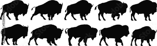 Mighty Bison and Buffalo Silhouettes in Various Poses, Ideal for Wildlife, North American, and Prairie Animal Designs
