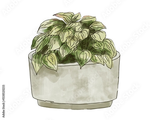 Watercolor flowerbed with green foliage. Hand-drawn plant composition, perfect for eco themes, gardening designs, and nature-related projects.