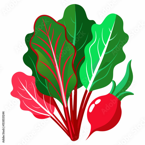 Vibrant Beetroot Illustration with Lush Green and Red Leaves Featuring a Fresh Healthy Vegetable on a Clean White Background Ideal for Food and Nutrition Content