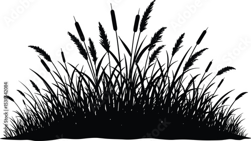 Wallpaper Mural Black grass silhouette, wild nature bush, field weed vector, cattail plant illustration, outdoor flora element, marsh vector, isolated artwork Torontodigital.ca