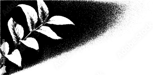 Elegant cornice fragment with vine decoration for architectural design