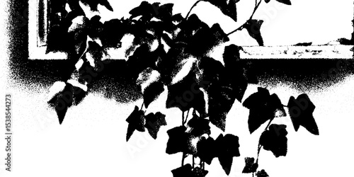 Chipped window sill with cascading ivy in high contrast design for decorative use