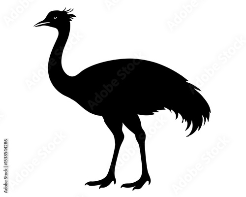 Emu Vector Art, Bird Icon Clipart
