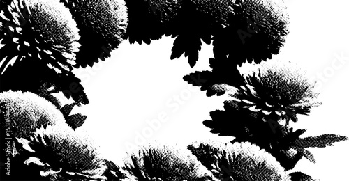 Black and white chrysanthemum wreath design for creative projects