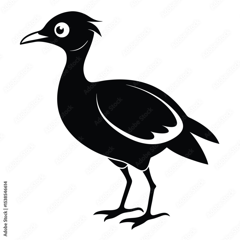 Fototapeta premium Standing black bird faces left with small crest feathers in a simple vector